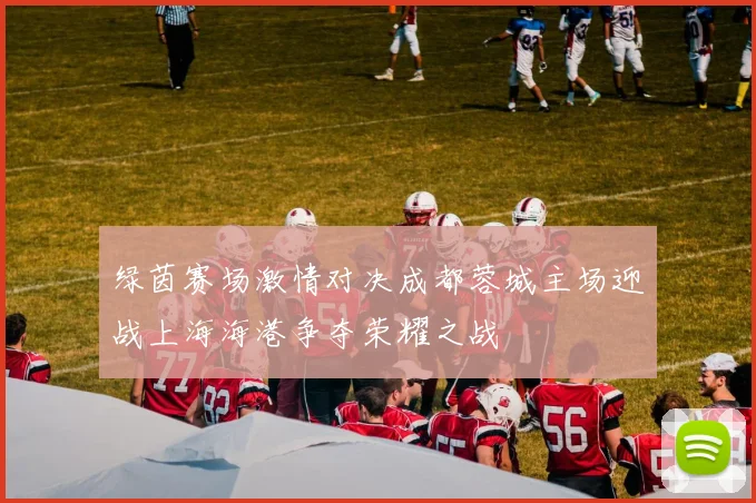 绿茵赛场激情对决成都蓉城主场迎战上海海港争夺荣耀之战